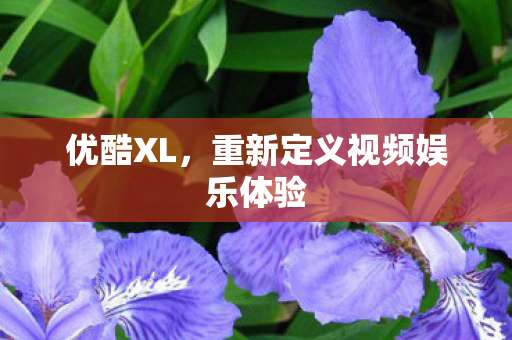重新定义视频娱乐体验图片