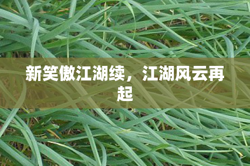 新笑傲江湖续图片