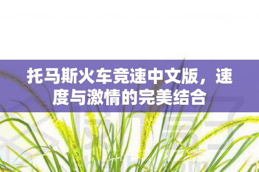 托马斯火车竞速中文版图片