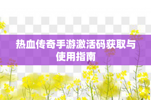 热血传奇手游激活码获取与使用指南图片