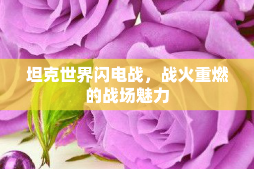 战火重燃的战场魅力图片
