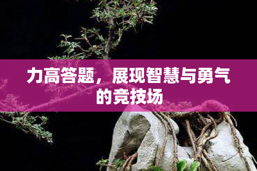展现智慧与勇气的竞技场图片