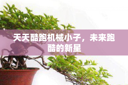 天天酷跑机械小子图片