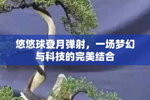 一场梦幻与科技的完美结合图片