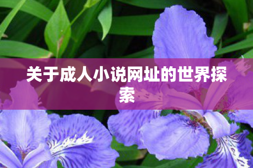 关于成人小说网址的世界探索图片