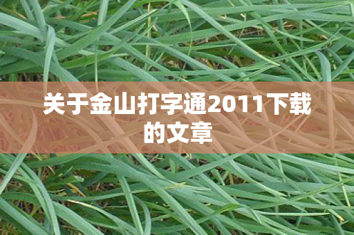 关于金山打字通2011下载的文章图片