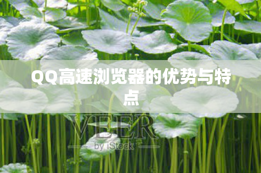 QQ高速浏览器的优势与特点图片