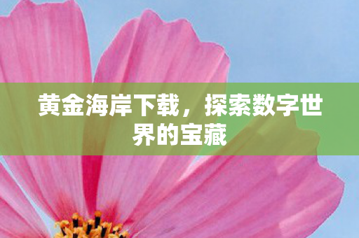探索数字世界的宝藏图片