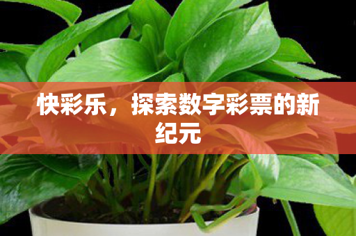 探索数字彩票的新纪元图片