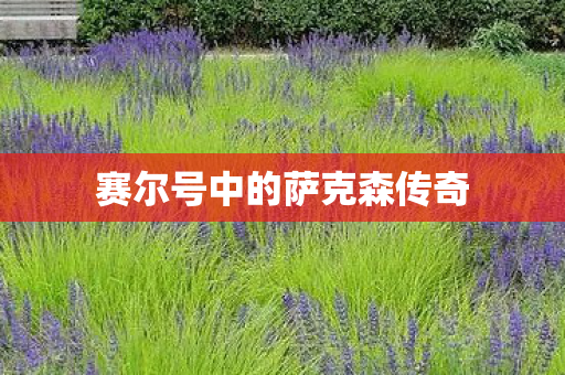 赛尔号中的萨克森传奇图片