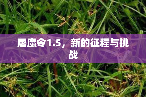 新的征程与挑战图片