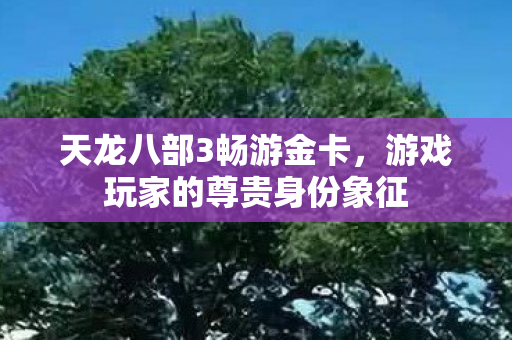 游戏玩家的尊贵身份象征图片