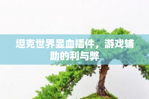 坦克世界显血插件图片