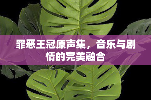 音乐与剧情的完美融合图片