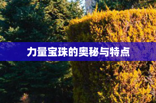 力量宝珠的奥秘与特点图片