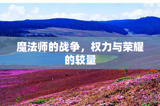 权力与荣耀的较量图片