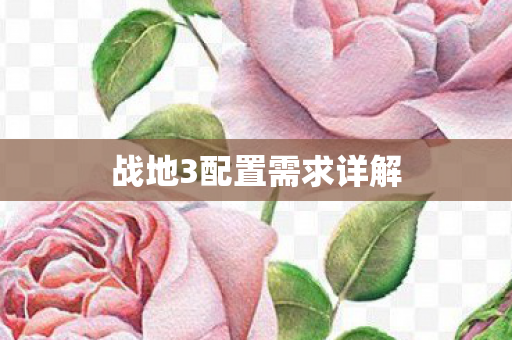 战地3配置需求详解图片