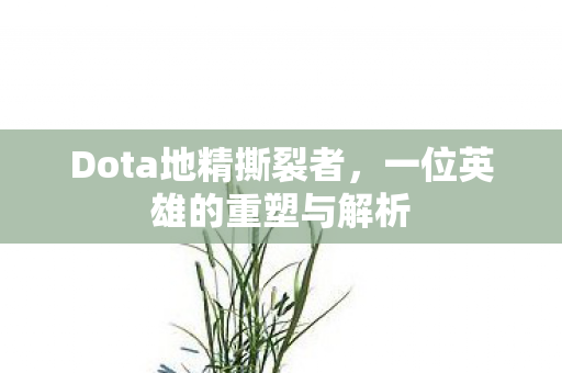 一位英雄的重塑与解析图片