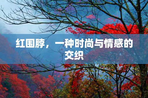 一种时尚与情感的交织图片