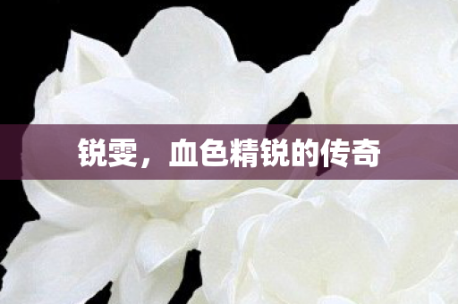 血色精锐的传奇图片
