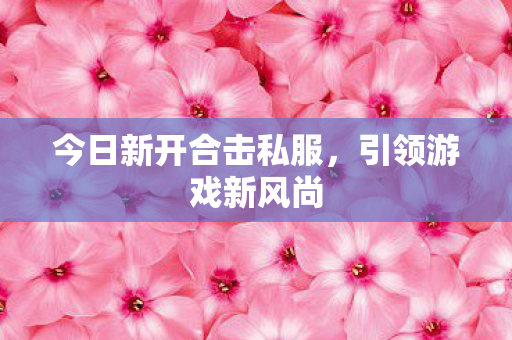 今日新开合击私服图片