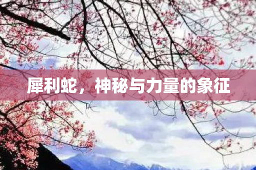 神秘与力量的象征图片