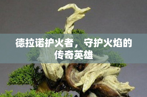 守护火焰的传奇英雄图片