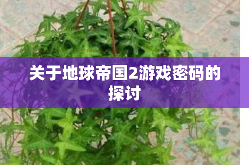 关于地球帝国2游戏密码的探讨图片
