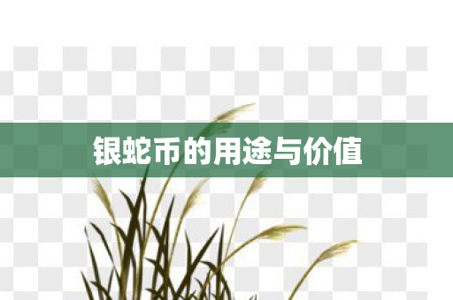 银蛇币的用途与价值图片