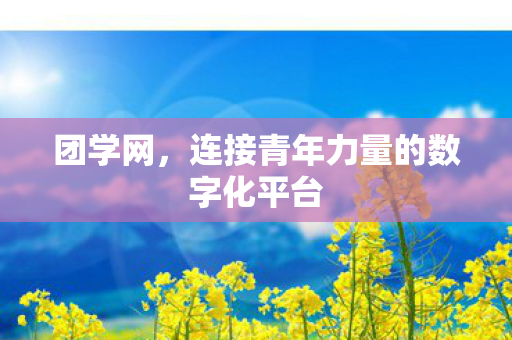 连接青年力量的数字化平台图片
