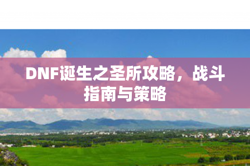 DNF诞生之圣所攻略图片