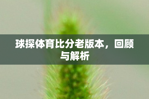 球探体育比分老版本图片
