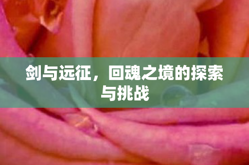 回魂之境的探索与挑战图片