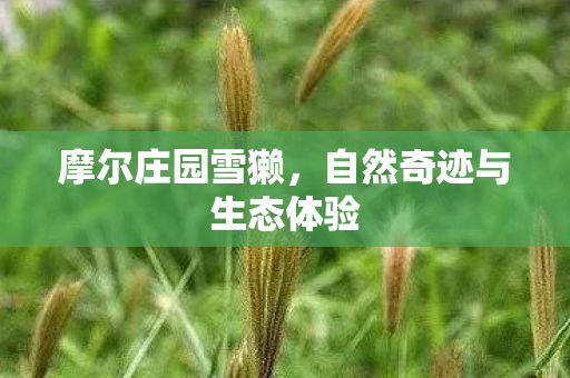 自然奇迹与生态体验图片