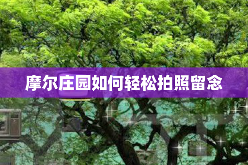 摩尔庄园如何轻松拍照留念图片