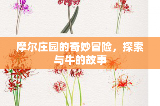 摩尔庄园的奇妙冒险图片