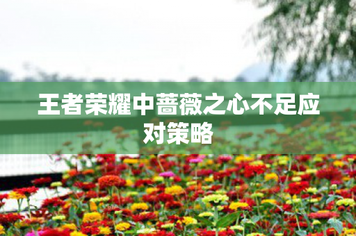 王者荣耀中蔷薇之心不足应对策略图片
