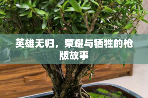 荣耀与牺牲的枪版故事图片