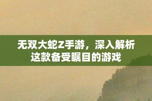 深入解析这款备受瞩目的游戏图片
