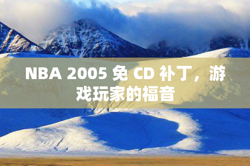 NBA 2005 免 CD 补丁图片
