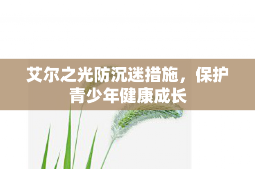 艾尔之光防沉迷措施图片