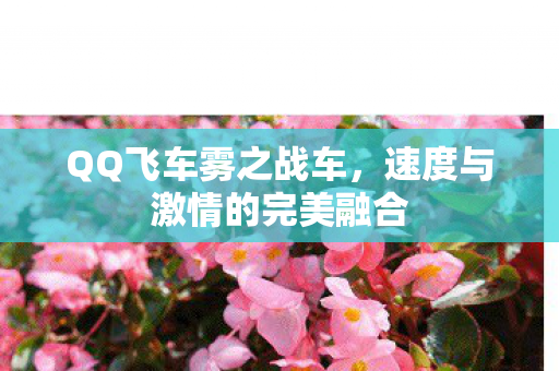速度与激情的完美融合图片