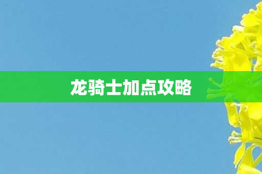 龙骑士加点攻略 龙骑士加点攻略