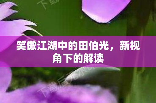 笑傲江湖中的田伯光图片