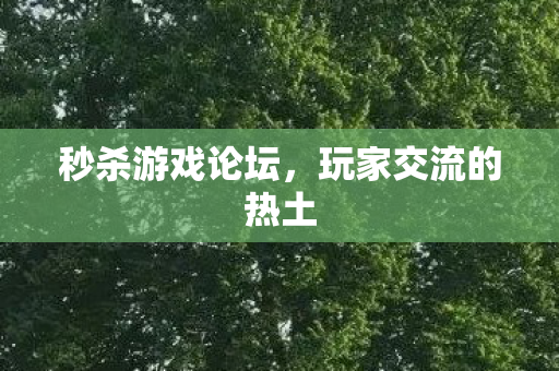 玩家交流的热土图片