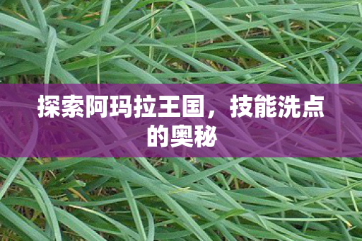 探索阿玛拉王国图片