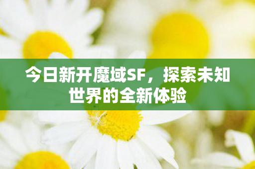 探索未知世界的全新体验图片