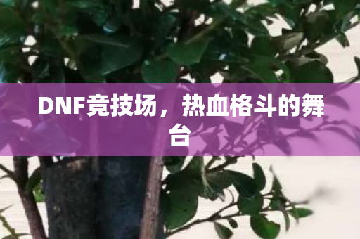 热血格斗的舞台图片