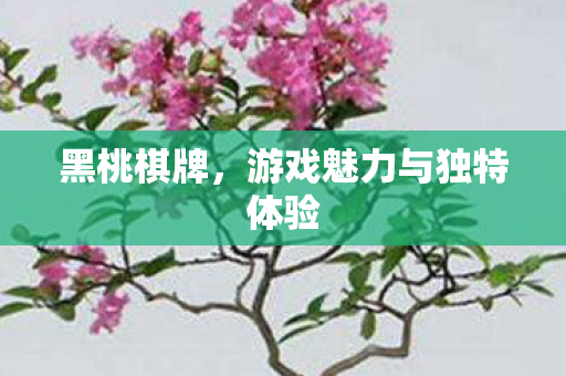 游戏魅力与独特体验图片