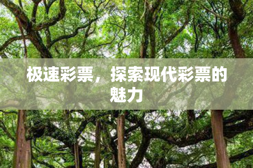 探索现代彩票的魅力图片